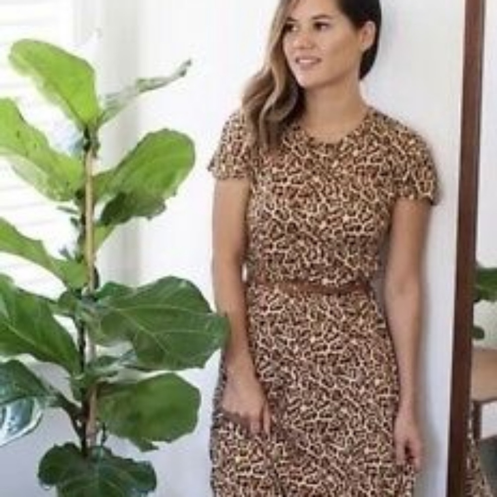 NWT LuLaRoe Maria Leopard Print Dress